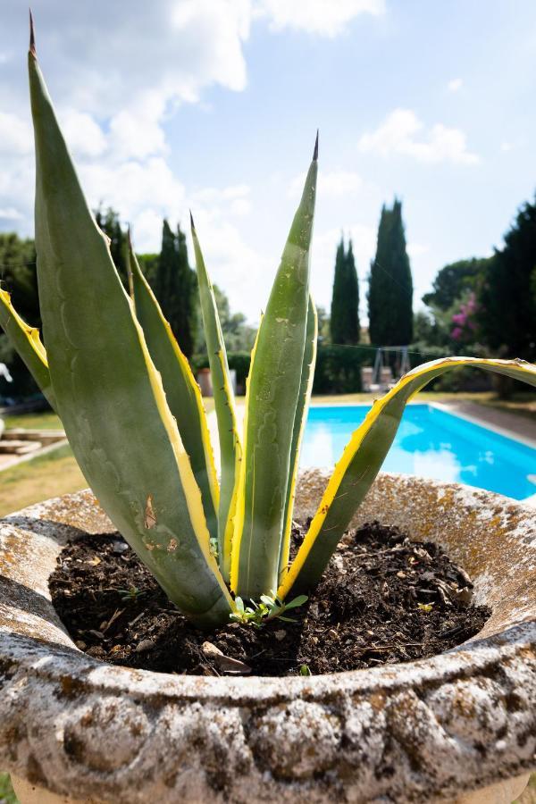 Appartamento Villa Matone Grottaferrata Luaran gambar